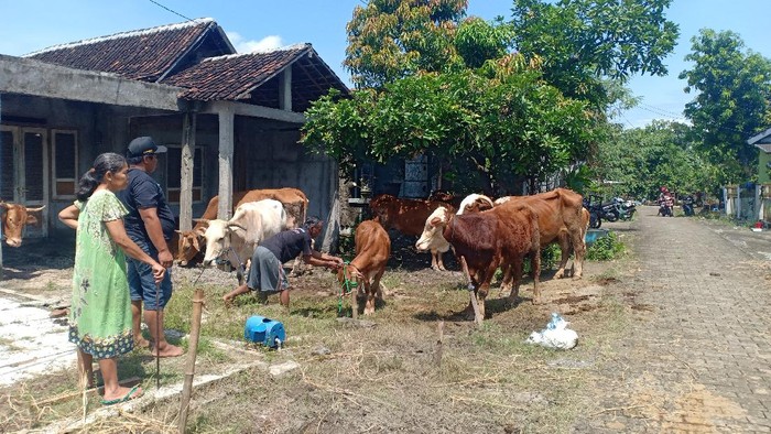 Banjir yang menerjang Kabupaten Madiun mencapai 21 desa di enam kecamatan. Ketinggian banjir yang mencapai antara 30 Cm hingga 2 meter membuat warga panik dan menyelamatkan harta benda termasuk hewan ternaknya