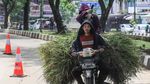 Biker Santuy di Atas Rumput