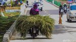Biker Santuy di Atas Rumput