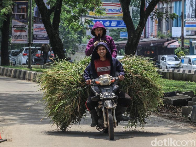 Biker Santuy di Atas Rumput