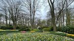 Cantiknya Keukenhof, Tetap Bersemi Meski Pandemi