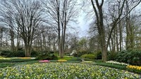 Keukenhof