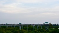 Pattani juga punya banyak pemandangan hijau untuk rekreasi.  (Getty Images)