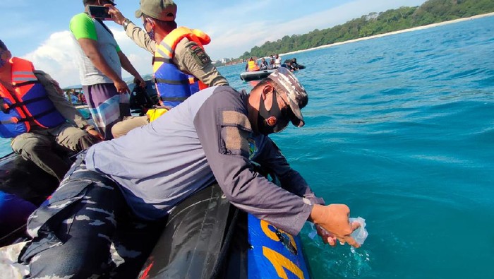 Petugas gabungan melepasliarkan ribuan benih lobster di Pangandaran