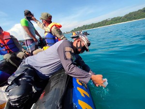 Ribuan Benih Lobster Hasil Razia Dilepasliarkan di Pantai Pangandaran