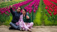 Pengunjung berbondong-bondong untuk menyaksikan bunga tulip yang sedang mekar di taman kawasan Zabarwan, Srinagar, India.