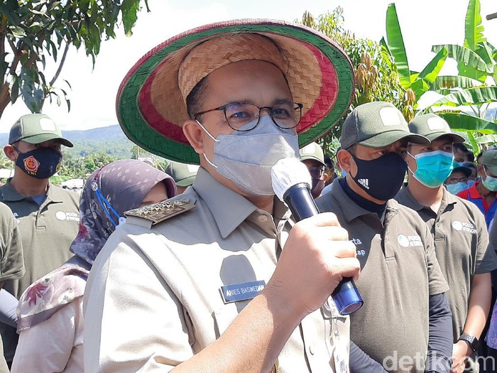 Gubernur DKI Jakarta Anies Baswedan panen raya di Cilacap, Jumat (16/4/2021).