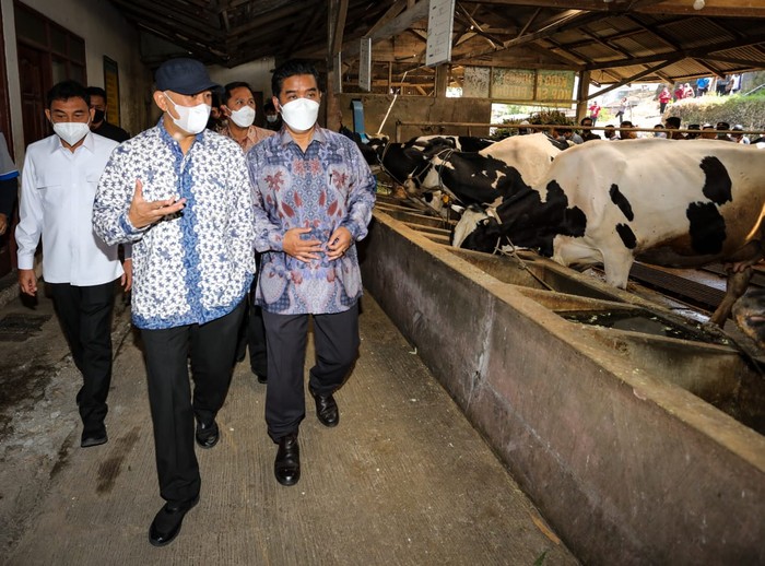 Kemenkop UKM