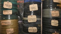 Tak lama berselang, lampu proyektor mulai menyorot dan sistem pengeras suara bekerja bersamaan dengan munculnya adegan-adegan dari sebuah film lawas Indonesia di kain putih tersebut.  
