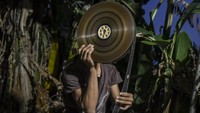 Di era keemasannya, layar tancap adalah primadona hiburan kaum urban, terutama pada dekade 1970 hingga 1990an.   