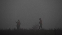 Gunung itu merupakan gunung berapi terpopuler bagi para pendaki di Guatemala. Lokasinya berada dekat dengan bekas ibu kota Antigua, situs Warisan Dunia UNESCO.  