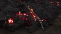 Namun hingga kini aliran lava gunung berapi tersebut masih menyala.  
