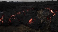 Gunung Pacaya di Guatemala mengalami erupsi pada Kamis (25/3/2021) lalu.  