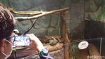 Foto: Ngabuburit di Jakarta Aquarium dan Safari