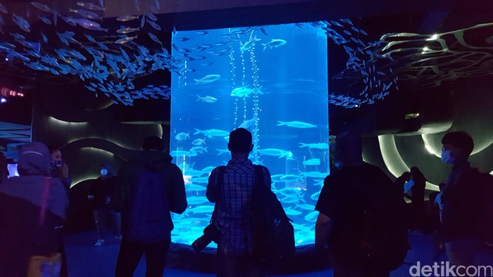 Ngabuburit di Jakarta Aquarium dan Safari