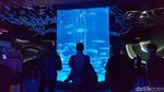 Foto: Ngabuburit di Jakarta Aquarium dan Safari