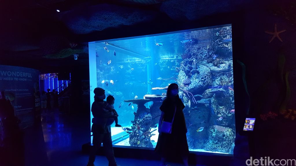 Ngabuburit di Jakarta Aquarium dan Safari