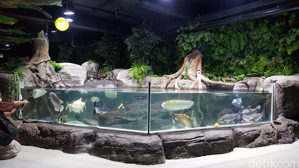 Ngabuburit di Jakarta Aquarium dan Safari