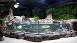 Foto: Ngabuburit di Jakarta Aquarium dan Safari
