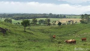 Foto: New Zealand ala Sumatera Barat