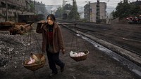 Kereta tersebut awalnya digunakan untuk mengangkut batu bara dari tambang yang sekarang ditutup sebelum gerbong penumpang ditambahkan.  