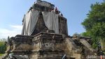Foto: Selimut Candi Mendut Akhirnya Dibuka