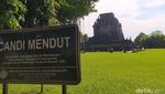 Foto: Selimut Candi Mendut Akhirnya Dibuka