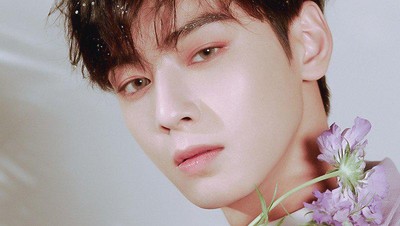 Foto: 7 Aktor Korea Terlaris Sebagai Contoh Oplas, Cha Eun Woo Nomor Satu