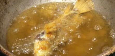 Ikan Peliharaannya Mati di Akuarium, Bocah Ini Malah Menggorengnya!
