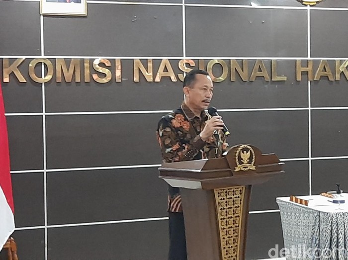 Ketua Komnas HAM, Ahmad Taufan Damanik. (Rahmat Fathan/detikcom)