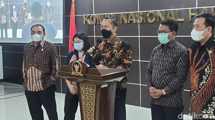 Ketua Komnas HAM, Ahmad Taufan Damanik. (Rahmat Fathan/detikcom)