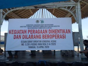 Lokasi Lucinta Luna Tunggangi Lumba-lumba Pernah Ditutup BKSDA Bali