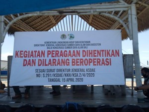 Lokasi Lucinta Luna Tunggangi Lumba-lumba Pernah Ditutup BKSDA Bali