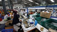 Sejumlah pekerja menjahit pola saat memproduksi sepatu lokal di pabrik Aerostreet.