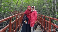 Berfoto di hutan mangrove