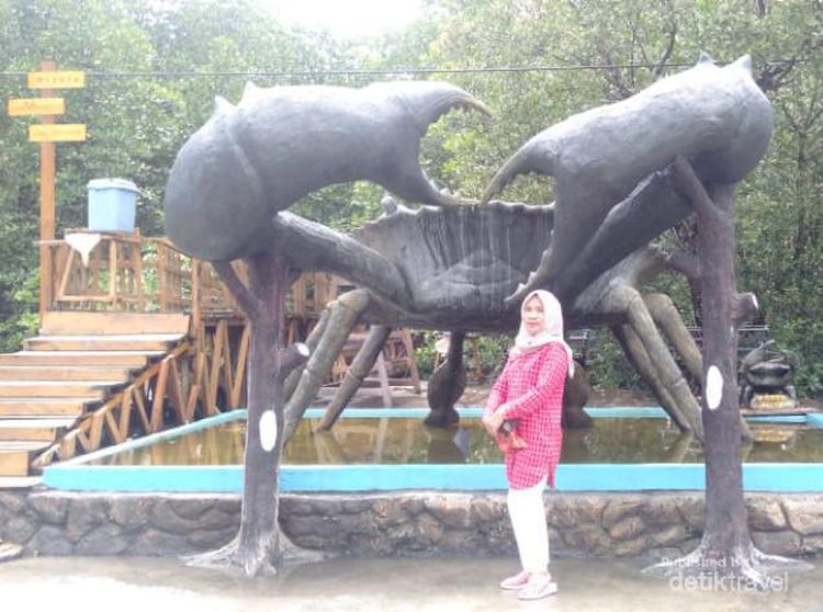 Foto: Waka Yoya, Destinasi Kuliner dan Mangrove Keren di Kepulauan Sula