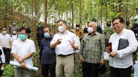 Kunjungan ini bertujuan untuk meninjau rencana lokasi istana di kawasan inti pusat pemerintahan.Foto: Dok. Bappenas