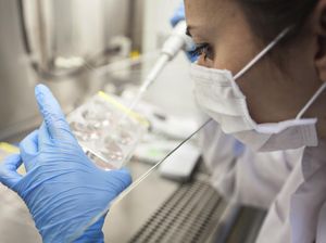 Mengenal Bioteknologi: Pengertian, Bentuk, Ciri-ciri, dan Contohnya