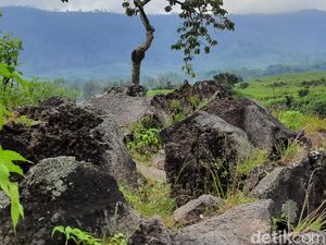 Melihat Onggokan Batu Hitam di Aliran Lava Ijen Purba yang Meliuk Bak Ular