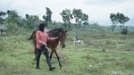 Foto: Ngabuburit Beda di Banjarnegara, Sambil Naik Kuda