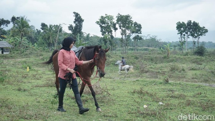 Berkuda di Banjarnegara