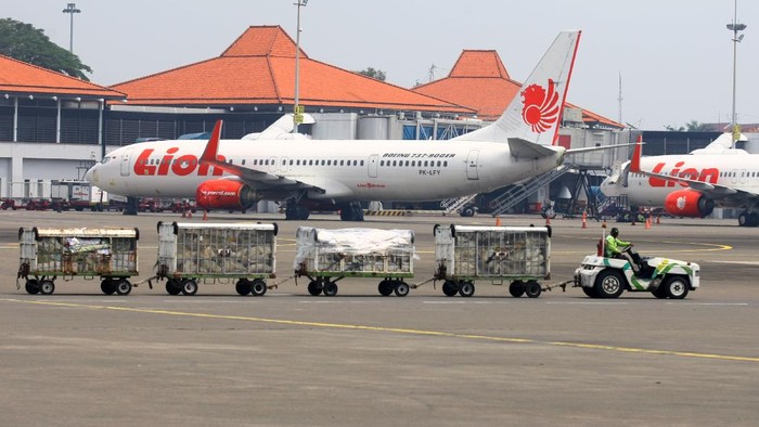 INACA Minta Parkir Pesawat Digratiskan Selama Larangan Mudik Pemerintah melarang mudik pada 6-17 Mei 2021. Indonesia Nastional Air Carriers Association (INACA) pun minta pemerintah bebaskan biaya parkir pesawat imbas larangan mudik 2021.