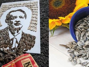 Keren! Seniman Ini Ciptakan Lukisan pakai Ratusan Kuaci