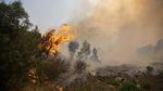 Kebakaran Hutan Hanguskan Bangunan Bersejarah di Afsel