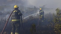Lebih dari seratus orang pemadam kebakaran dan petugas penyelamat dikerahkan ke kampus itu dan kawasan Taman Nasional Gunung Meja. AP Photo  
