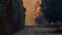 Sebuah bangunan lainnya dalam kompleks kampus dan satu kincir angin yang juga menjadi cagar budaya ikut hangus terbakar. AP Photo  