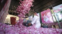 Air dan minyak mawar menjadi komponen penting dalam industri kosmetik dan kuliner di Arab Saudi. (AFP)