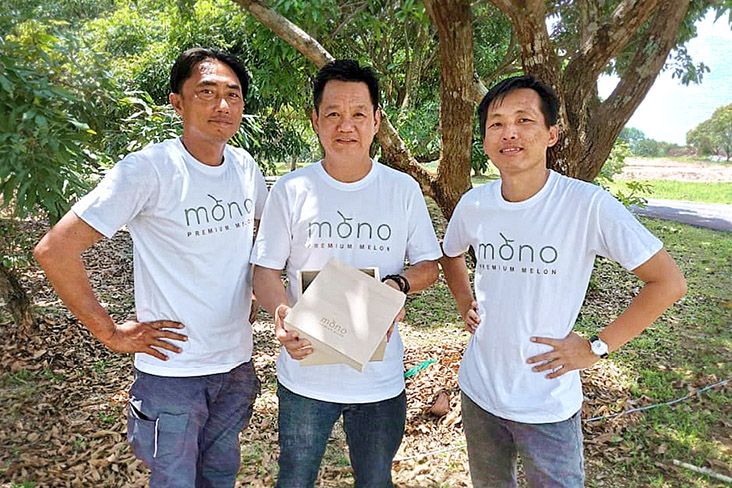 Melon Jepang Dimanjakan dengan Iringan Musik dan Dipijat