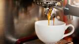 Gegara Secangkir Espresso, Pemilik Kedai Kopi Ini Didenda Rp 15,5 Juta