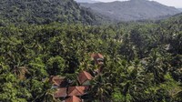Di sela kokokan ayam yang saling bersahutan dan jarum jam menunjuk angka tujuh, sejumlah anak yang bermukim di desa Pasawahan, Kecamatan Banjaranyar, Ciamis, Jawa Barat bergegas untuk mengikuti proses pembelajaran jarak jauh (PJJ) yang rutin digelar sekolahnya setiap pagi selama pandemi COVID-19 pada delapan bulan terakhir.  